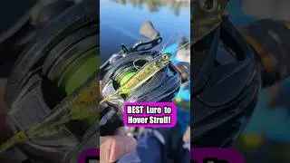 The Best Plastic For Hover Strolling Finesse fishing Technique 