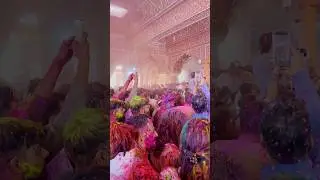 Che significato ha l’Holy Festival? #india #holifestival #viaggiare