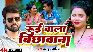 #VIDEO रुई वाला बिछवाना | #Dabloo Najariya | Rue Wala Bichhawana | New Video Song 2024