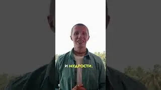 Правильный импульс = ваше счастье. БГ 16.24. #саморазвитие #психология #отношения #осознанность