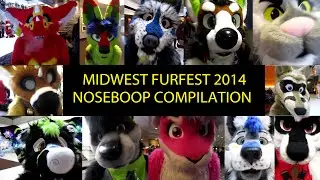 Midwest Furfest 2014 Noseboop Compilation