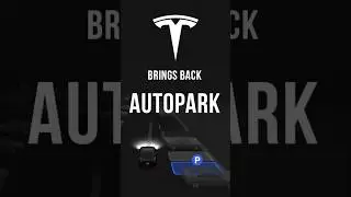 Tesla's Autopark Makes A Comeback!