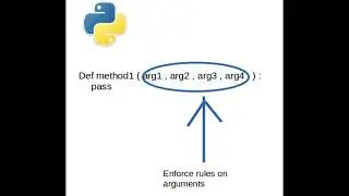 Python (Functional arguments types and enforcing rules )
