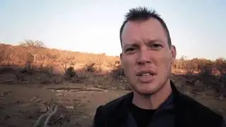 No Baggage Challenge: Hanging With The Animal Paparazzi in South Africa