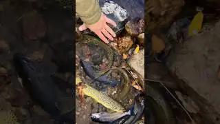Short session trout fishing in Colorado 🤩👍/ on Pointer and metal jigs  #fishing #lures #jig