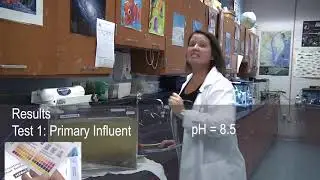 Virtual Science of Wastewater: Part 4: Primary Influent