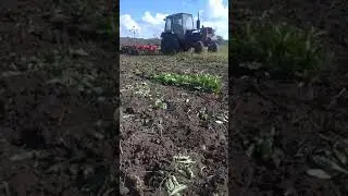Дисковка на ЮМЗ-6