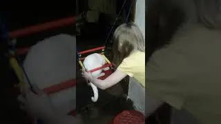 Кот на кочельках
