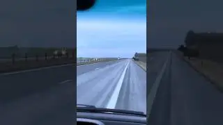 Лось на дороге