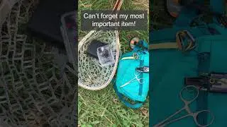 Fishing in Tennessee Essentials 