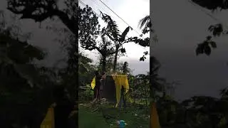 nyuci tenda lur
