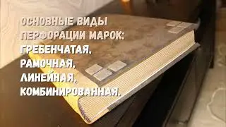 Зубцы 1