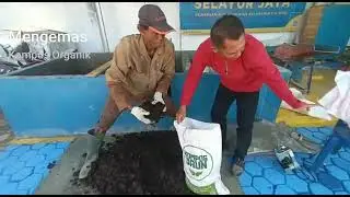 PRODUKSI PUPUK ORGANIK DI TPS SELAYUR JAYA PALEMBANG
