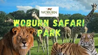 Safari Park Woburn 4k England