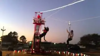 The Cat Zip Lines!