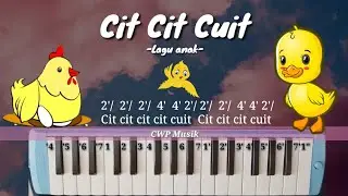 Cit Cit Cuit bebek berenang not pianika / melodica cover