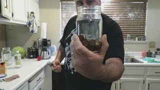 Dye Shirt With Copper Pennies? Exposing Blossom