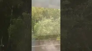 Что за ураган был