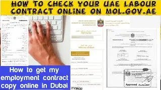 How to check your uae labour contract online on mol.gov.ae | How get employment contract copy Dubai