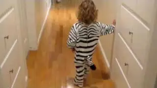 Samantha The Zebra