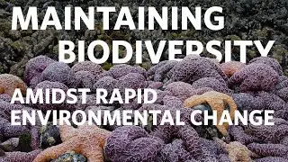 Dr. Chris Harley - Maintaining Biodiversity Amidst Rapid Environmental Change | UBC Lecture Series