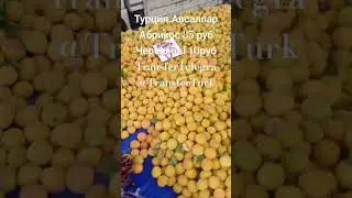 Турция.Авсаллар Базар.3 июля