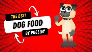 5 Best Dog Foods of the Year: Ultimate Review by Canine Connoisseur!
