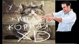 Жипа Жорная