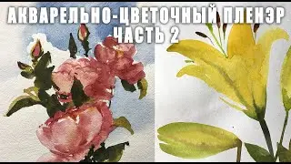 Акварельный пленэр с натуры ||| Розы и лилейник ||| Акварельный этюд