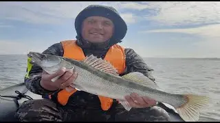 FISHING FOR PIKE-PERCH, KALACHI RULES…