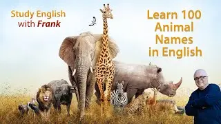 Learn the English Names for 100 Animals