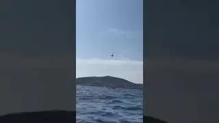 The plane crashed during an air show of patrol aircraft in the south of France
