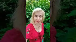 Мотивация от Шопенгауэра