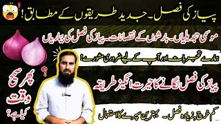 Payaz ki paneeri |Onion seedling |Onion crop preparation in September |IR FARM