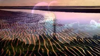 ❤•´ *`•.❤¸Desert Moon - Dennis De Young❤•´ *`•.❤¸