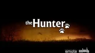 Давайте поиграем в theHunter
