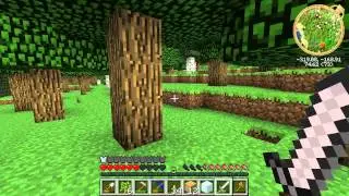 An Epic Technic Adventure 8# - divinivaning rod