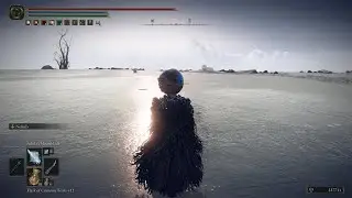 Multiple builds pvp - Elden Ring
