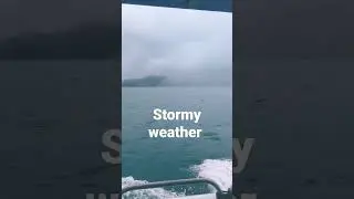 stormy! 