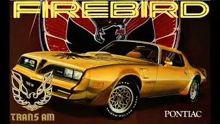 The most original 1978 Pontiac Firebird EVER?