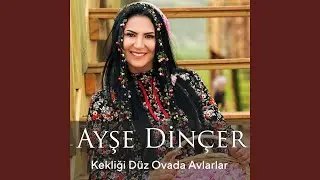 Kekliği Düz Ovada Avlarlar