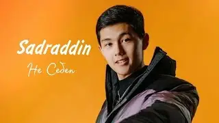 Sadraddin - Ne sebep #shortsvideo #минус #қазақша #sadraddin #nesebep #садраддин #несебеп #караоке