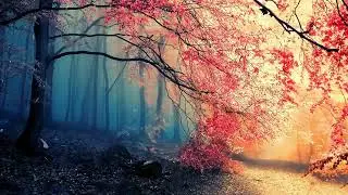 forest cherry trees autumn 4k live wallpaper