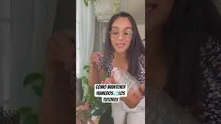 Tutores de tus plantas siempre húmedos #plantasdecasa #jardin #plantlover #plants