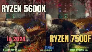 Ryzen 5600x vs Ryzen 7500f in 2024