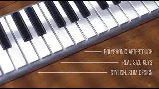 The Xkey is more than just a keyboard! 🤫🎹