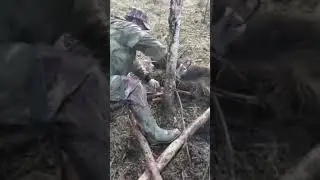 Медведь напал на спасителя.