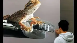 El yapımı olduğuna inanamayacağınız 10 fotoğraf fotoğraf galerisi fotoğraf çekimleri