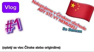 Nakupujeme veci v Čínskom 🇨🇳 obchode ABY STE VY NEMUSELI (oplatý sa viac Čínske alebo ORIGO? 🧐)