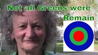 Not all Greens were Remain